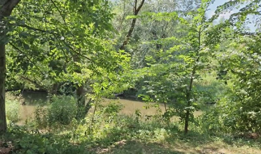 Prodej domu 350 m² s pozemkem 1 963 m², Ivaň – náhled fotky 35
