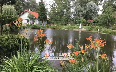 Prodej domu 100 m² s pozemkem 4 001 m², Tochovice - Hořejany, okres Příbram