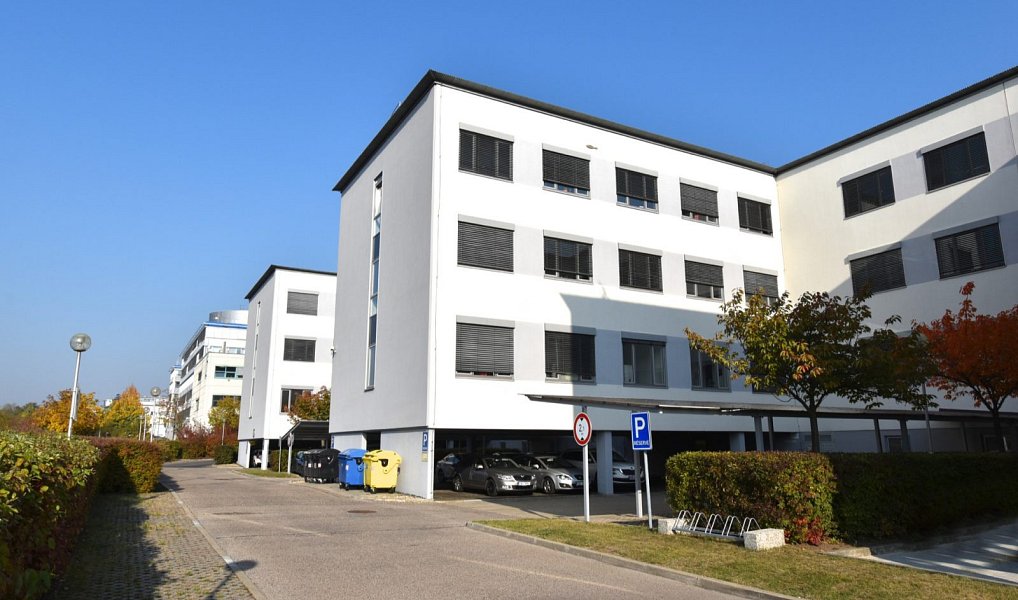 Pronájem obchodních prostor 251 m², Ořech – náhled fotky 10
