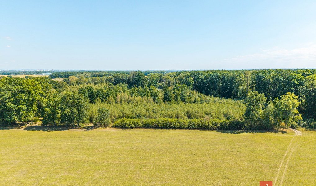 Prodej lesa 37 347 m², Pardubice – náhled fotky 10