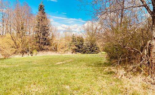 Prodej stavebního pozemku 2 191 m², Rožmitál pod Třemšínem, okres Příbram