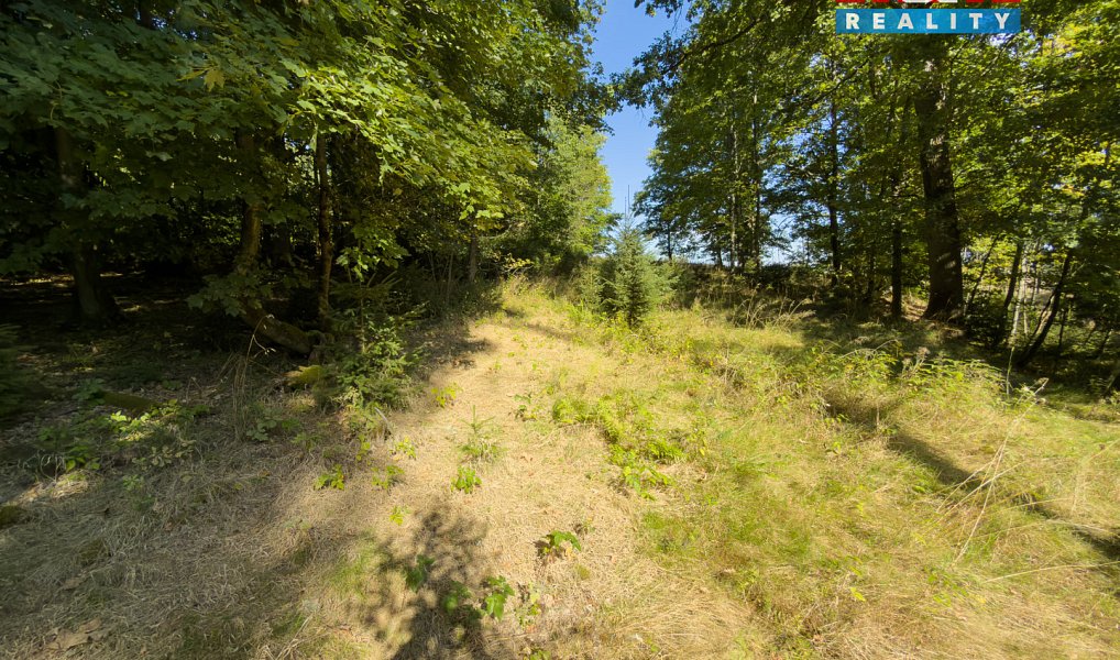 Prodej lesa 1 757 m², Cheb – náhled fotky 11