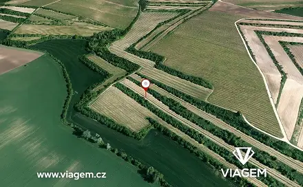Prodej pole 2 053 m², Čejkovice, okres Hodonín