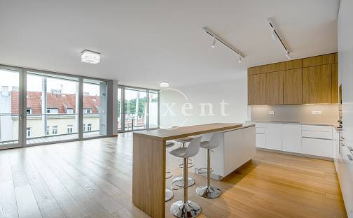 Pronájem bytu 4+kk 174 m², Holečkova, Praha 5 - Smíchov