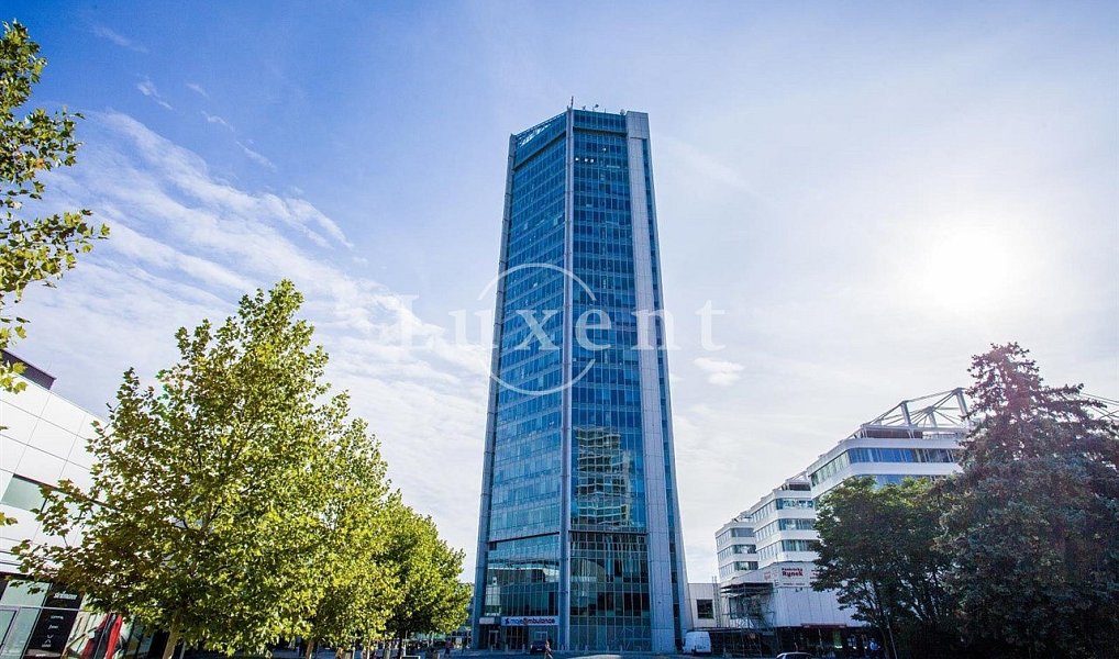 Pronájem kanceláře 300 m², Praha – náhled fotky 7