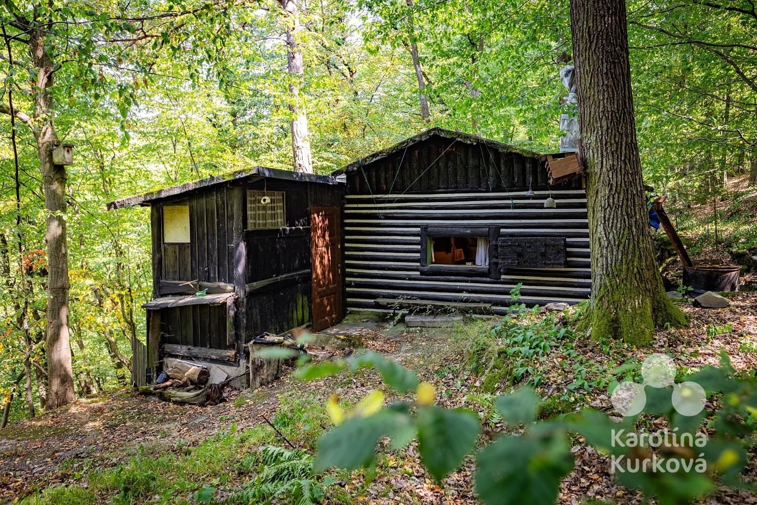 Prodej chaty/chalupy 24 m² s pozemkem 113 m² – fotografie 3