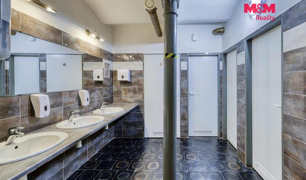 Prodej výrobních prostor 8 700 m², Kynšperk nad Ohří – náhled fotky 21