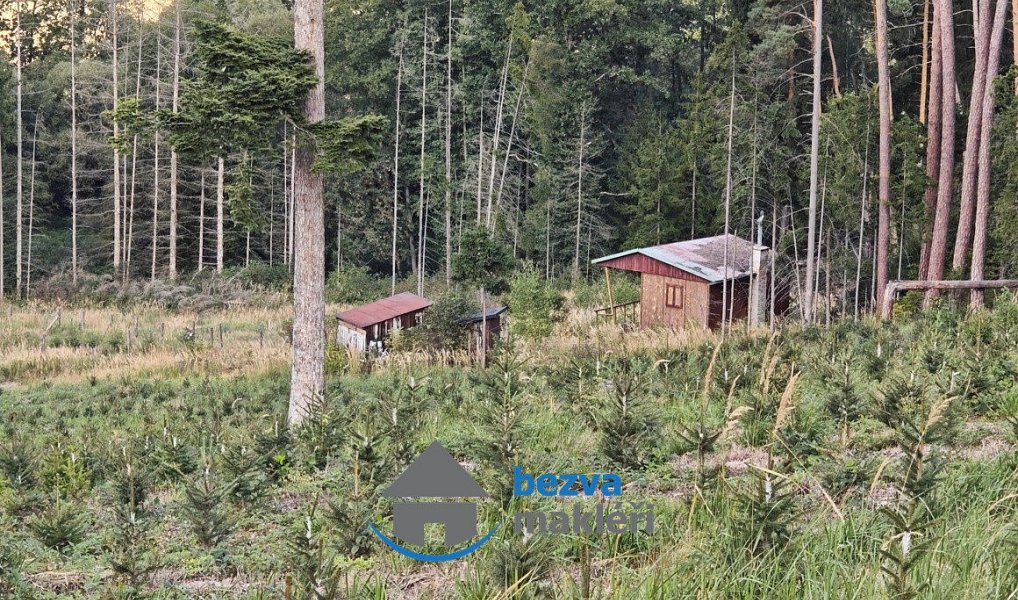 Prodej chaty/chalupy 15 m² s pozemkem 1 m², Pelhřimov – náhled fotky 5