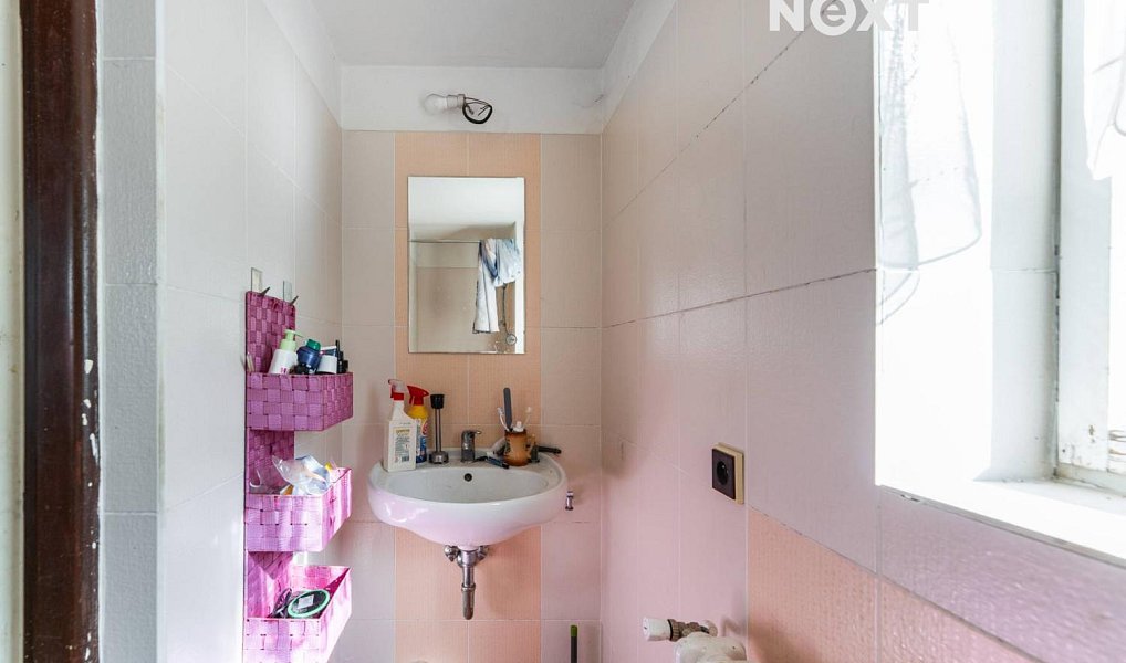 Prodej domu 213 m² s pozemkem 711 m², Pravonín – náhled fotky 9