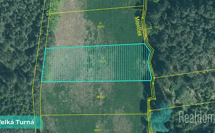 Prodej louky 2 199 m², Velká Turná, okres Strakonice