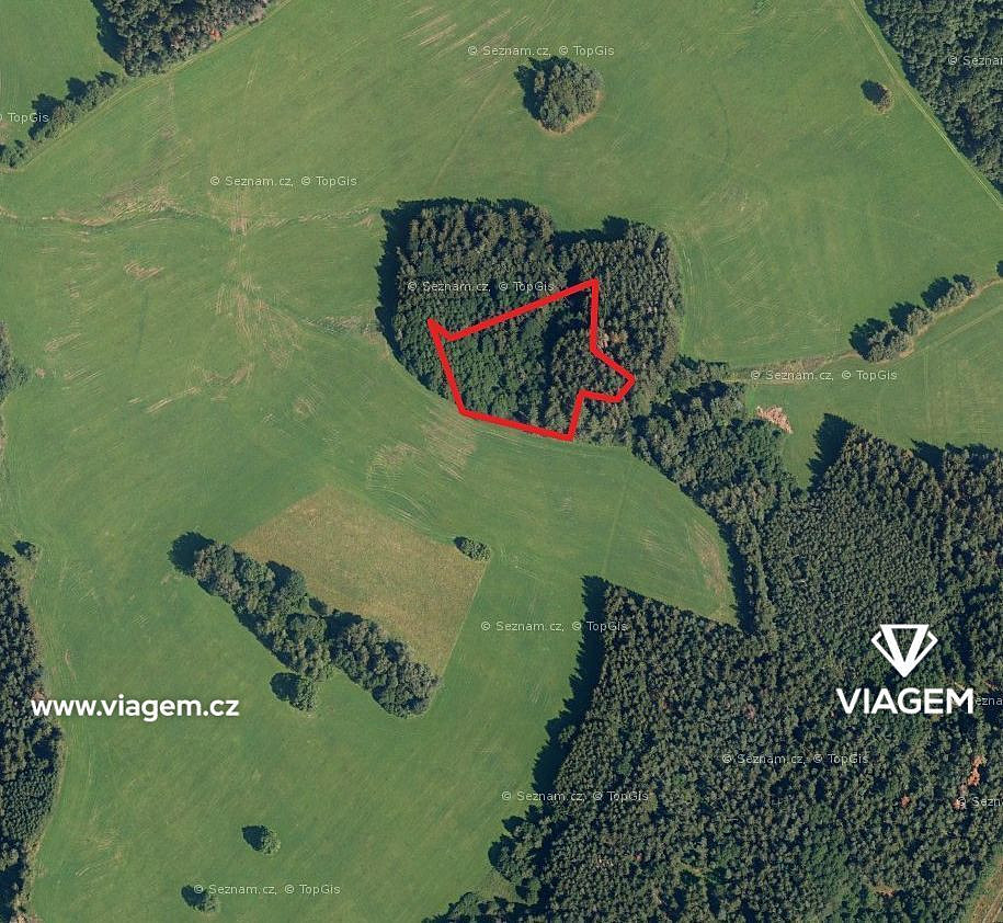 Prodej lesa 1 399 m²