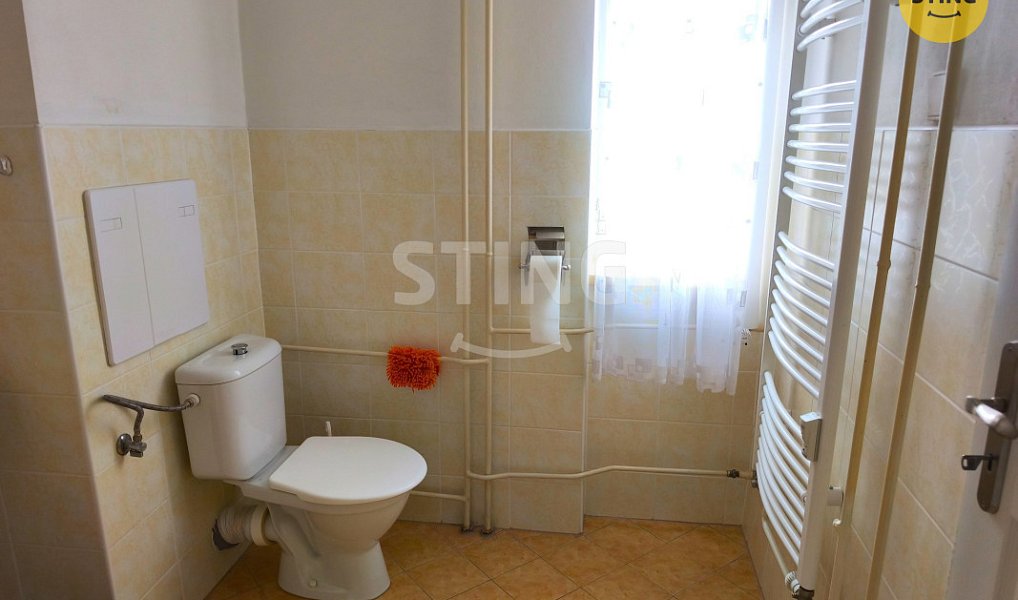 Pronájem bytu 3+kk 55 m², Dolní Rožínka – náhled fotky 5