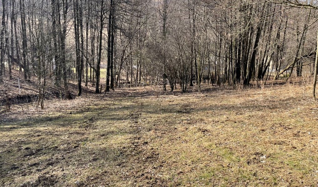 Prodej domu 180 m², Jeseník – náhled fotky 30