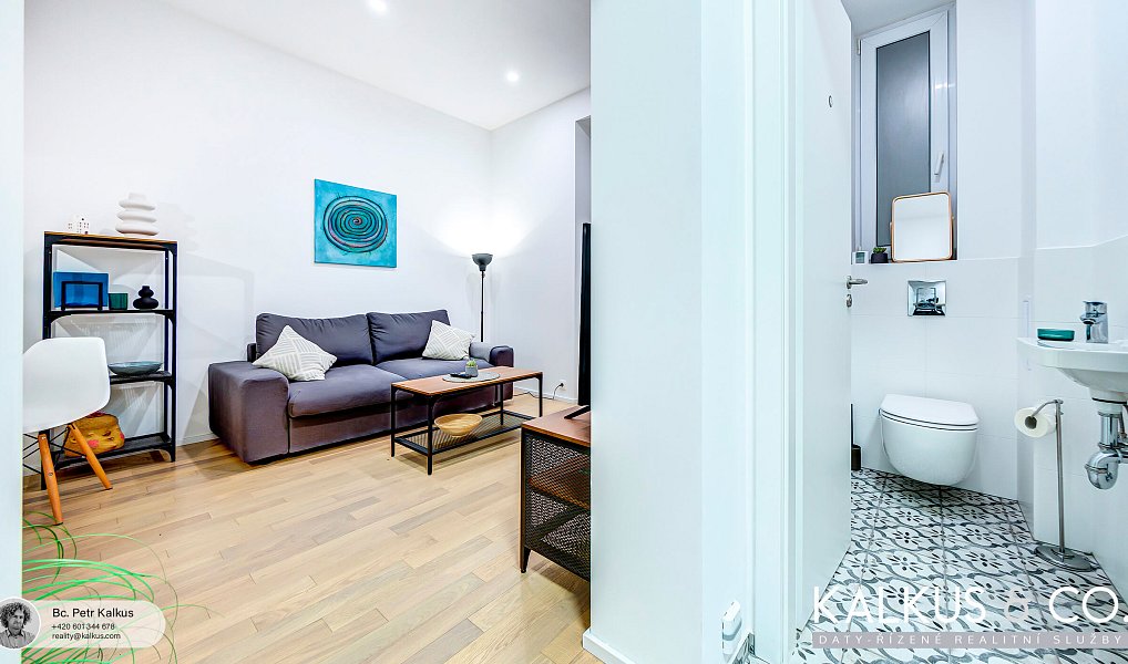 Pronájem bytu 2+kk 47 m², Hradec Králové – náhled fotky 7