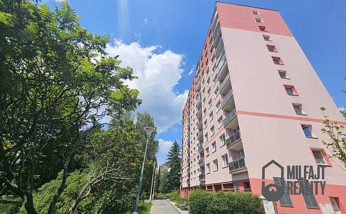 Pronájem bytu 1+kk 19 m², Rychtářská, Liberec - Liberec XIV-Ruprechtice