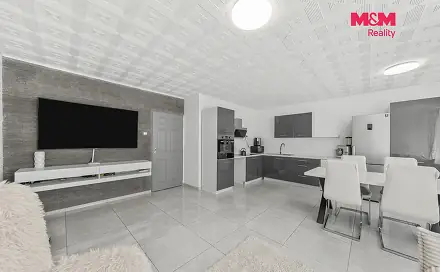 Prodej bytu 3+1 68 m², Josefa Ševčíka, Most