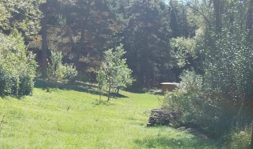 Prodej stavebního pozemku 2 607 m², Vyšší Brod – náhled fotky 4