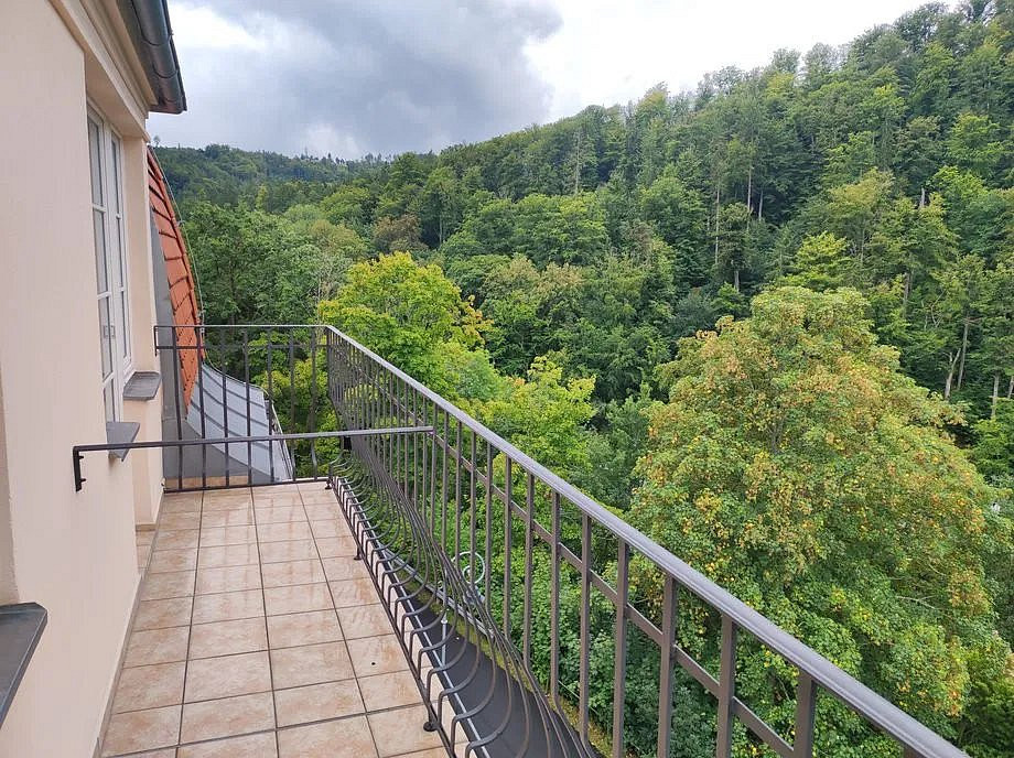 Prodej nájemního domu, činžáku 570 m² – fotografie 3