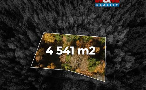 Prodej louky 4 541 m², Milíkov, okres Frýdek-Místek