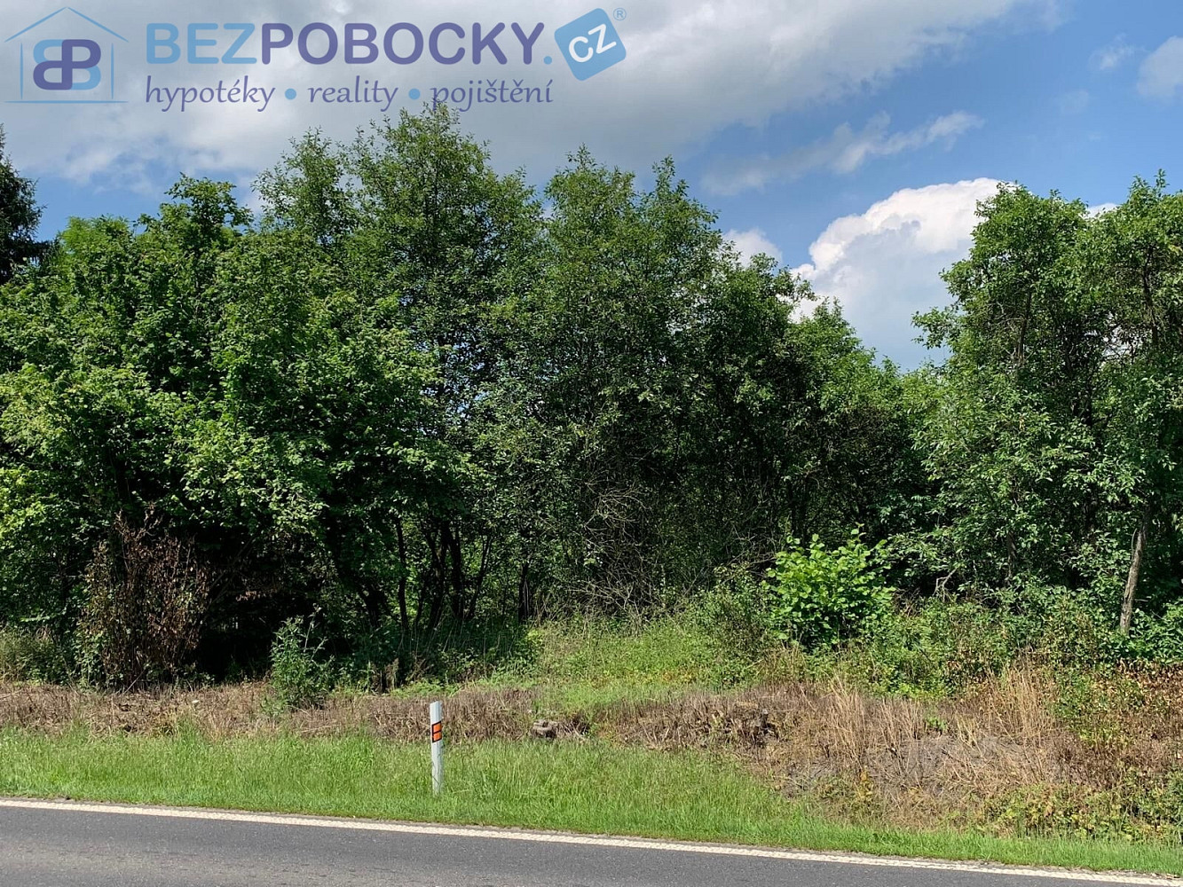 Fotka 15 z 16