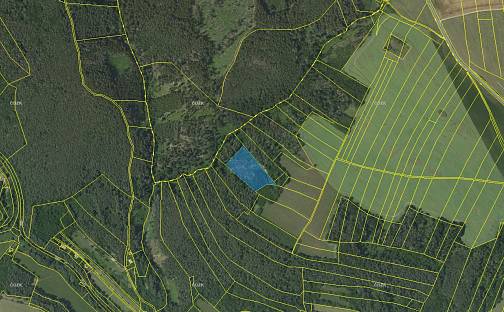 Prodej lesa 7 691 m², Horní Loučky, okres Brno-venkov
