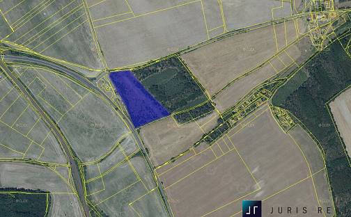 Pronájem pole 20 544 m²