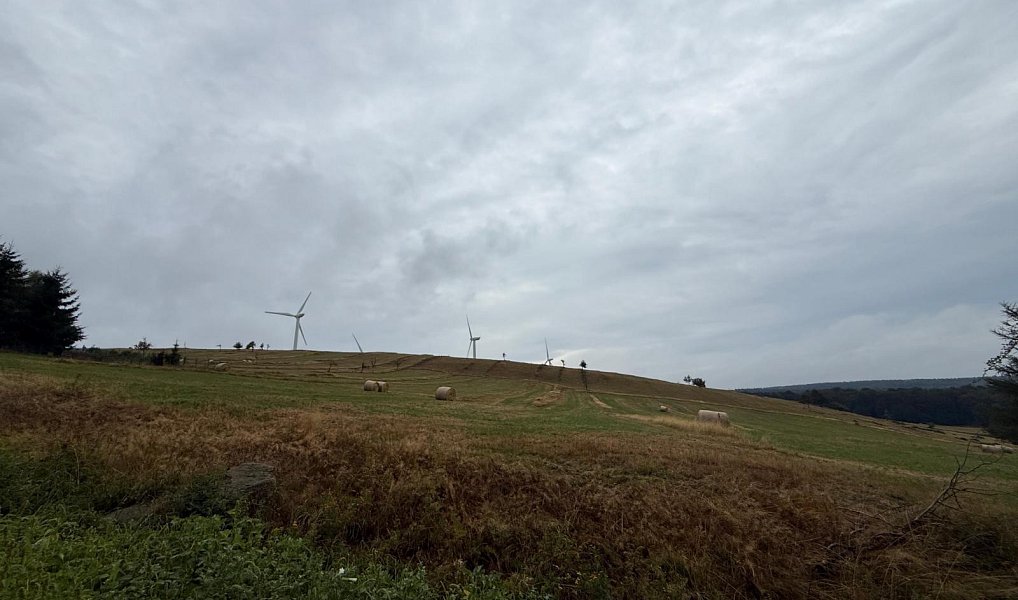 Prodej stavebního pozemku 3 241 m², Nová Ves v Horách – náhled fotky 2