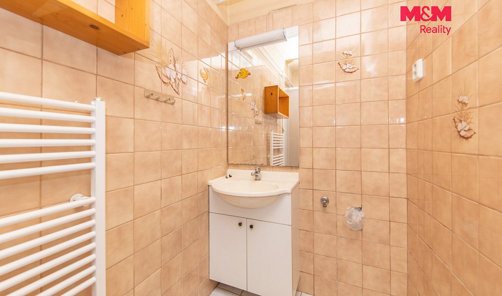 Prodej domu 120 m² s pozemkem 2 344 m², Lažany – náhled fotky 12