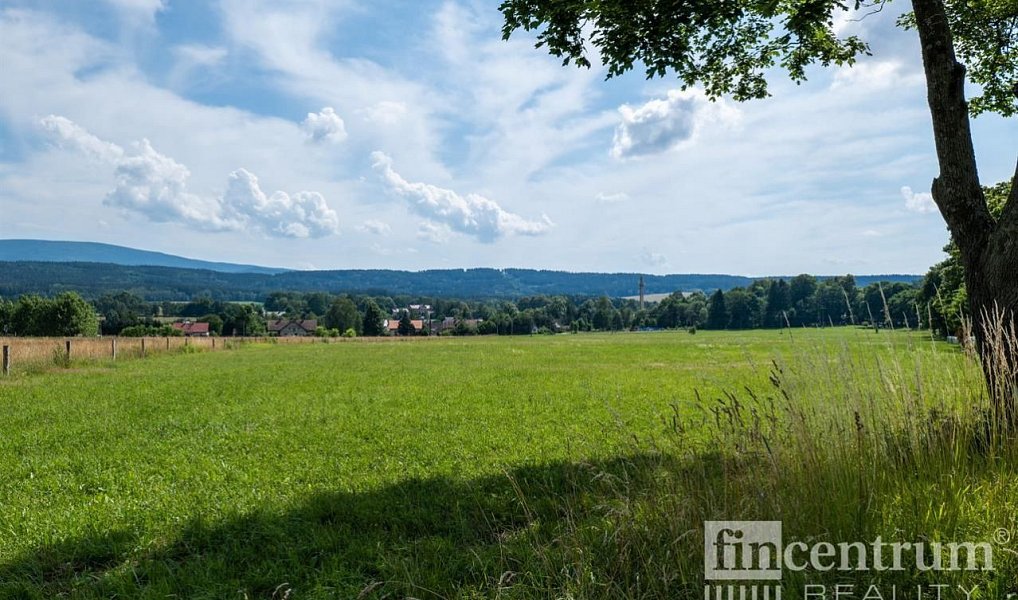 Prodej louky 53 774 m², Jindřichovice pod Smrkem – náhled fotky 5