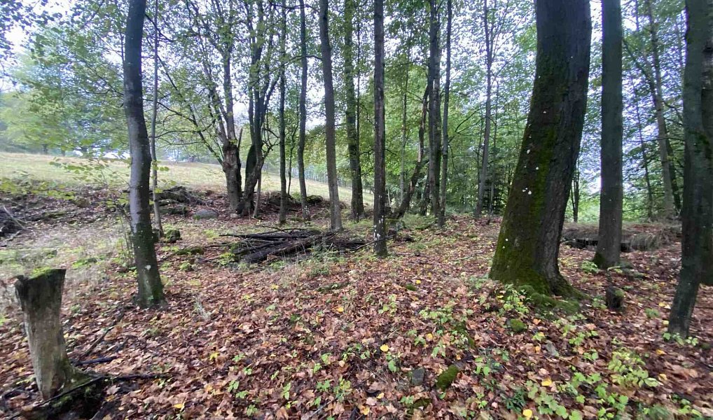 Prodej stavebního pozemku 3 849 m², Benešov nad Černou – náhled fotky 5