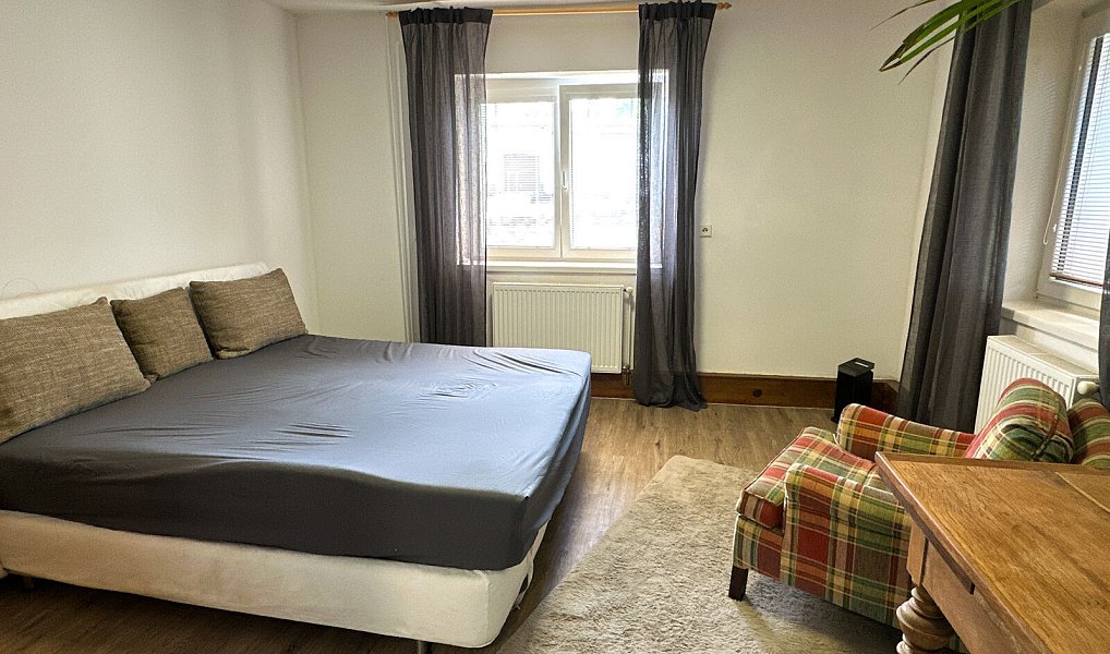 Prodej domu 350 m² s pozemkem 2 784 m², Hošťka – náhled fotky 23
