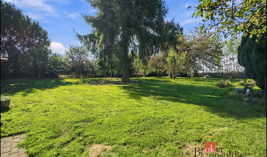 Prodej domu 171 m² s pozemkem 2 024 m², Krajková – náhled fotky 20