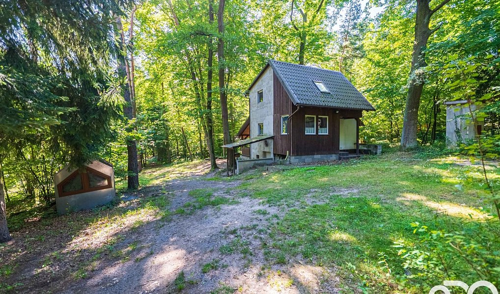 Prodej chaty/chalupy 30 m² s pozemkem 30 m², Ráby – náhled fotky 6