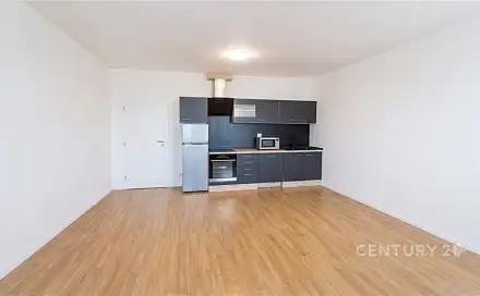 Prodej bytu 2+kk 52 m², Říční, Svitavy - Předměstí
