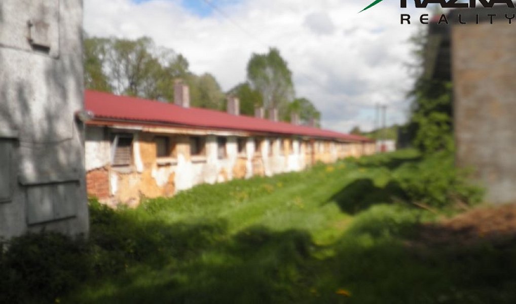 Prodej zemědělského objektu 5 633 m², Přimda – náhled fotky 11