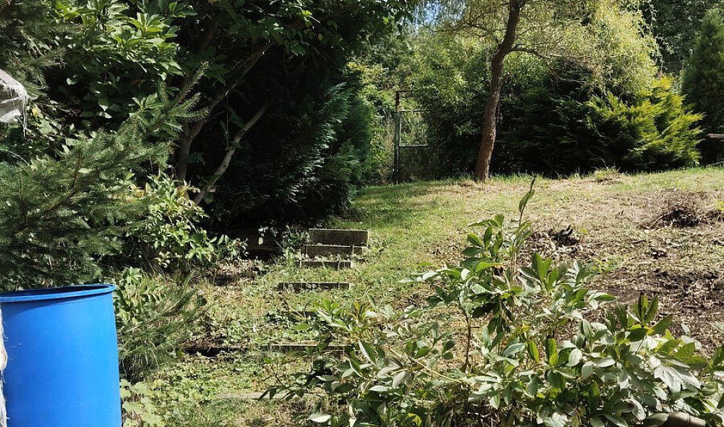 Prodej zahrady 779 m², Těšovice – náhled fotky 16