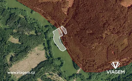 Ostatní