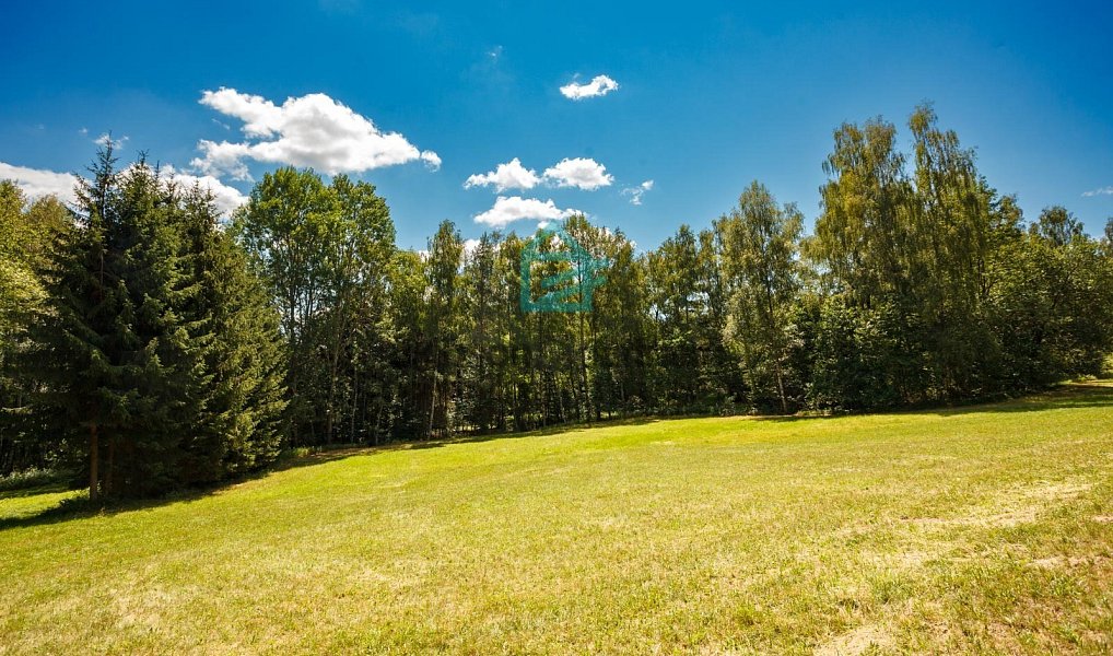 Prodej pozemku 6 805 m², Benešov nad Černou – náhled fotky 3