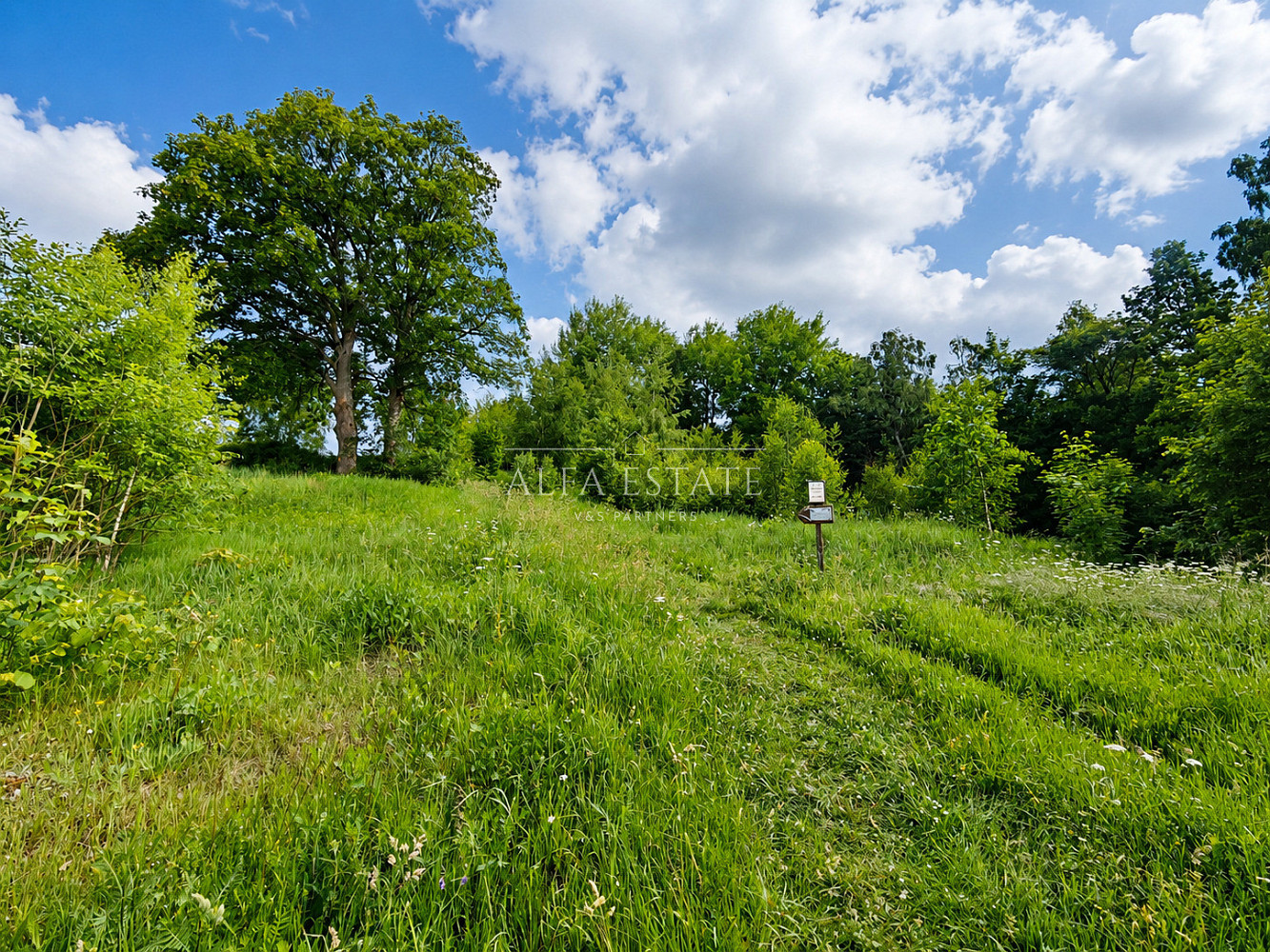 Pozemek 426m², obec Oloví – pohled 5