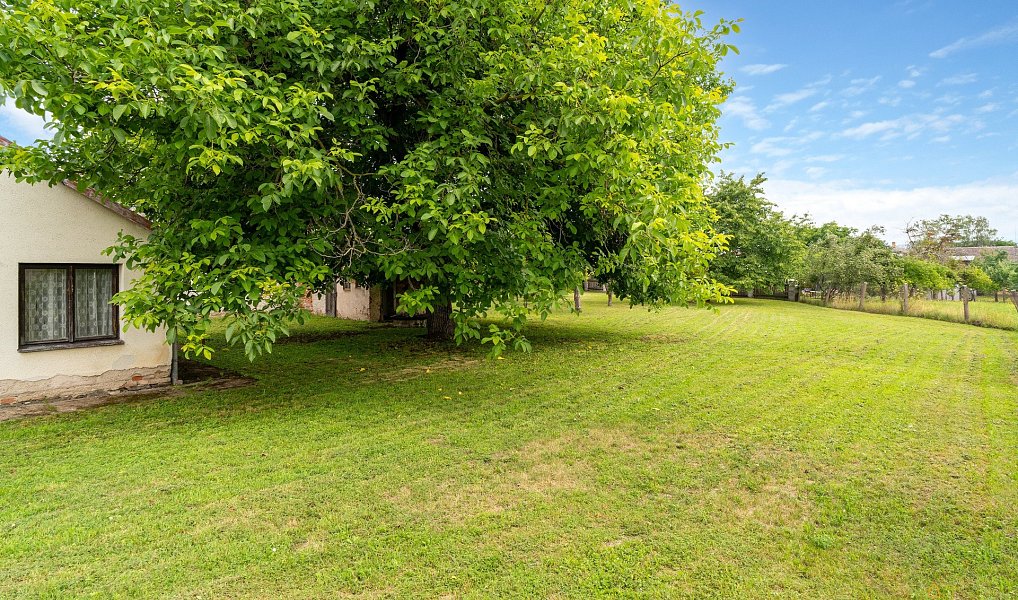 Prodej domu 65 m² s pozemkem 1 353 m², Vilémov – náhled fotky 4
