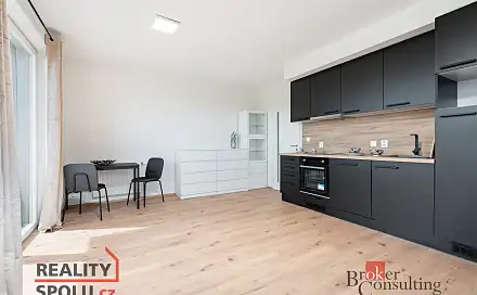Pronájem bytu 1+kk 36 m²