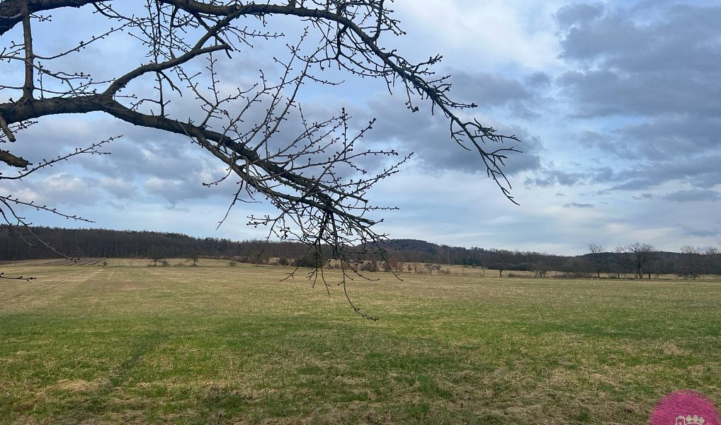 Prodej pole 13 030 m², Bělkovice-Lašťany – náhled fotky 2