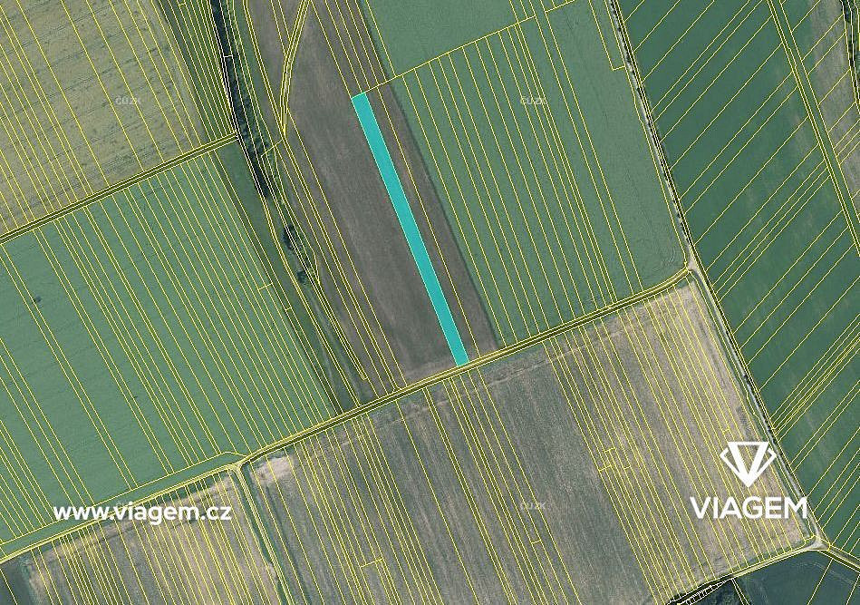 Pole 6 009 m², Podíl 25 % o výměře 1 502 m² – pohled 3