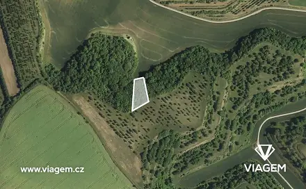 Ostatní