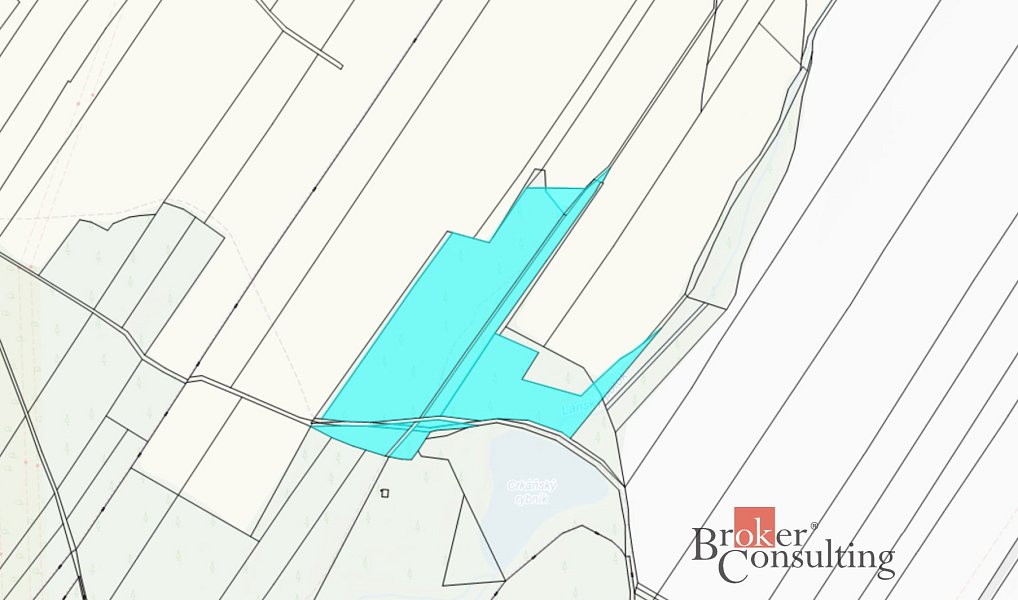 Prodej lesa 37 347 m², Pardubice – náhled fotky 5