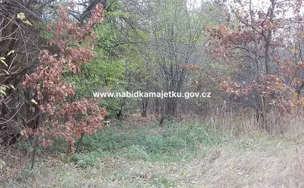 Prodej pozemku 4 835 m², Hradec Králové