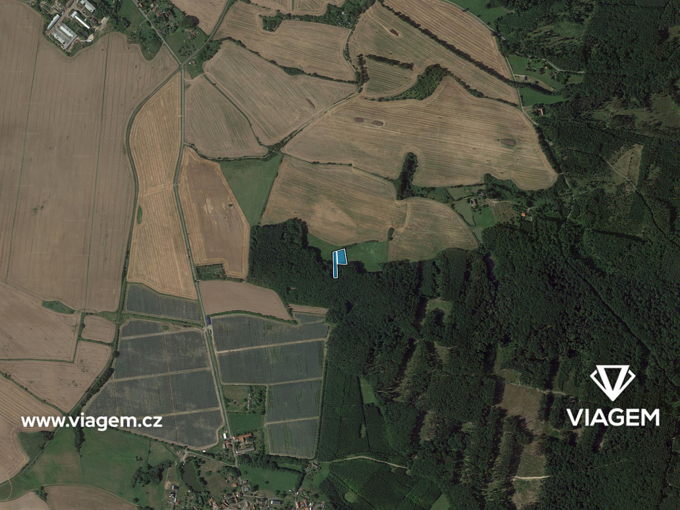 Prodej pole 3 353 m² – fotografie 3