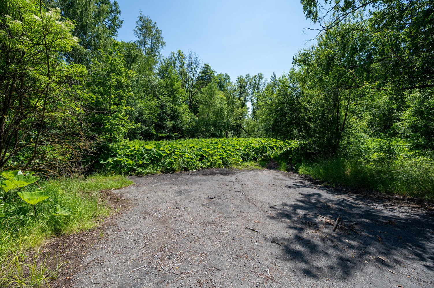 Fotka 16 z 24
