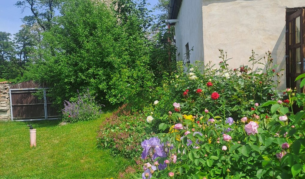 Prodej nájemního domu, činžáku 435 m², Církvice – náhled fotky 24