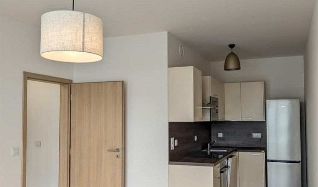 Pronájem bytu 2+kk 43 m², Praha – náhled fotky 3